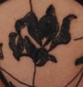 Deja Vu Thong Floral Black