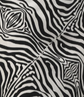 Havana Dress Zebra